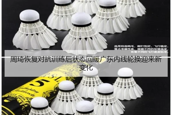 周琦恢复对抗训练后状态回暖广东内线轮换迎来新变化